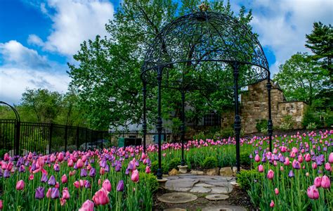 Pittsburgh botanical gardens - Pittsburgh Botanic Garden was conceptualized in 1988, with the goal of establishing an outdoor public garden with robust plant collections. Today, it features 65 acres …